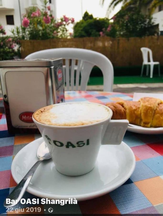 B&B Oasi Sul Mare San Salvo Marina Dış mekan fotoğraf